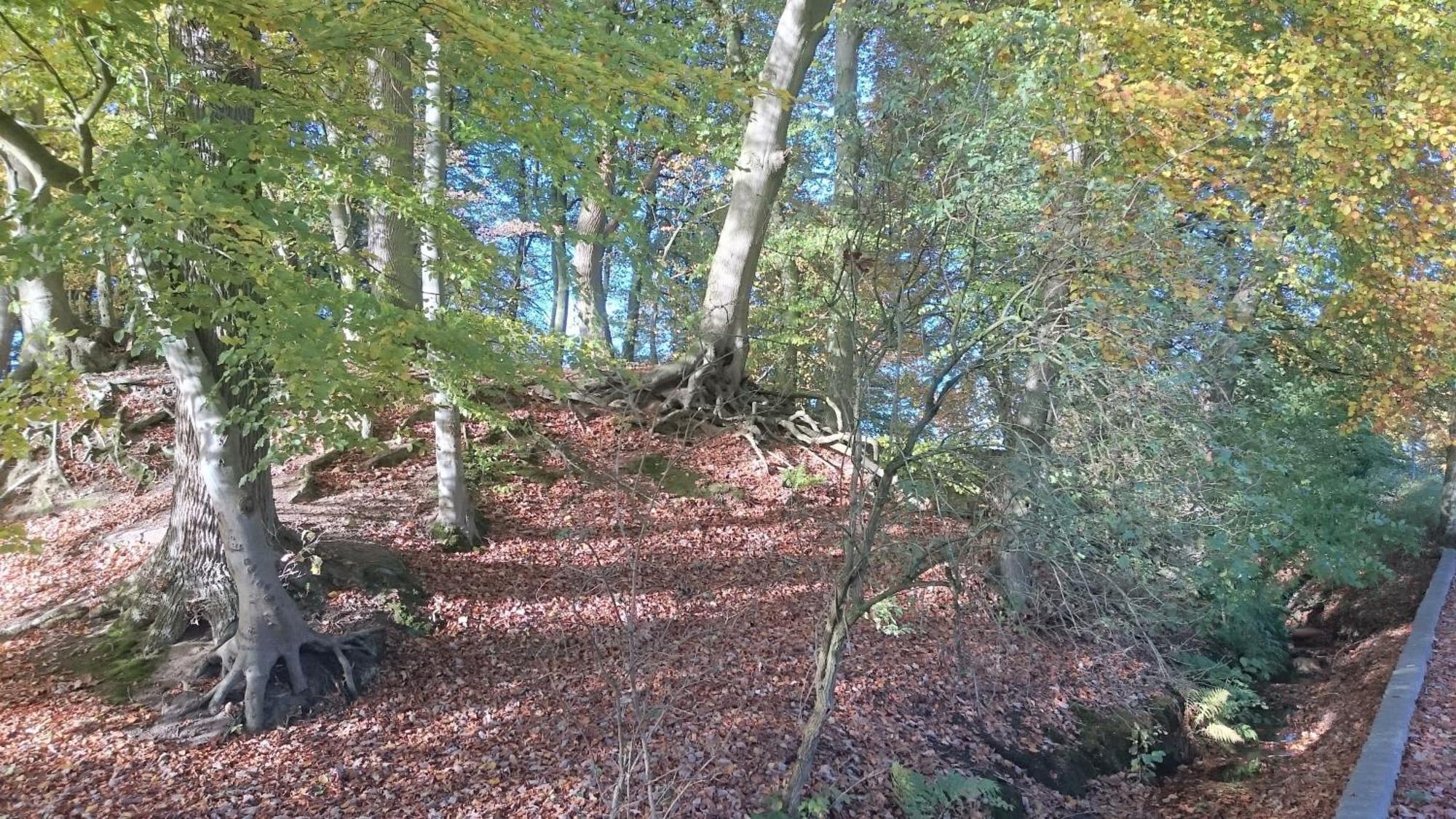 Mobilheim Am See Wittenborn Buitenkant foto