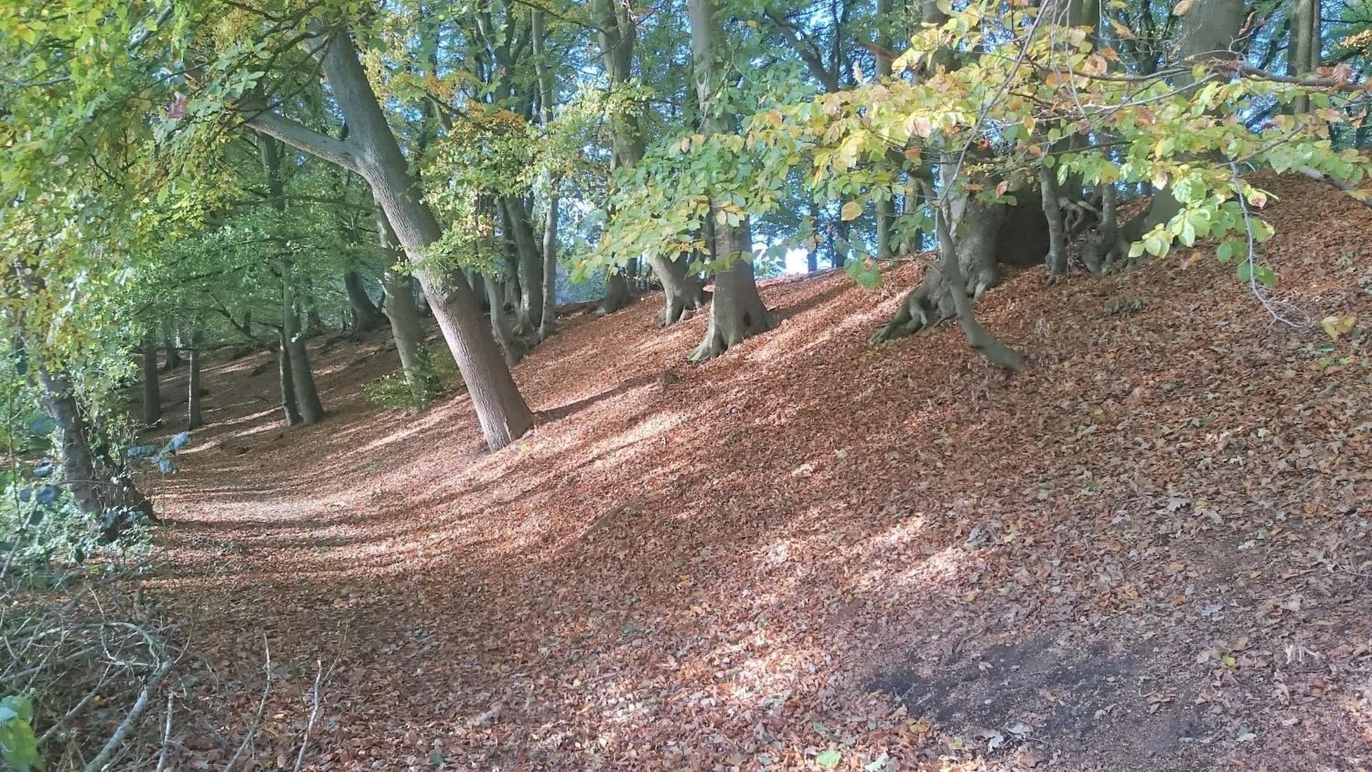 Mobilheim Am See Wittenborn Buitenkant foto